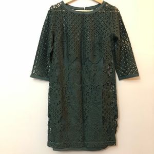 Ann Taylor Green Lace Dress